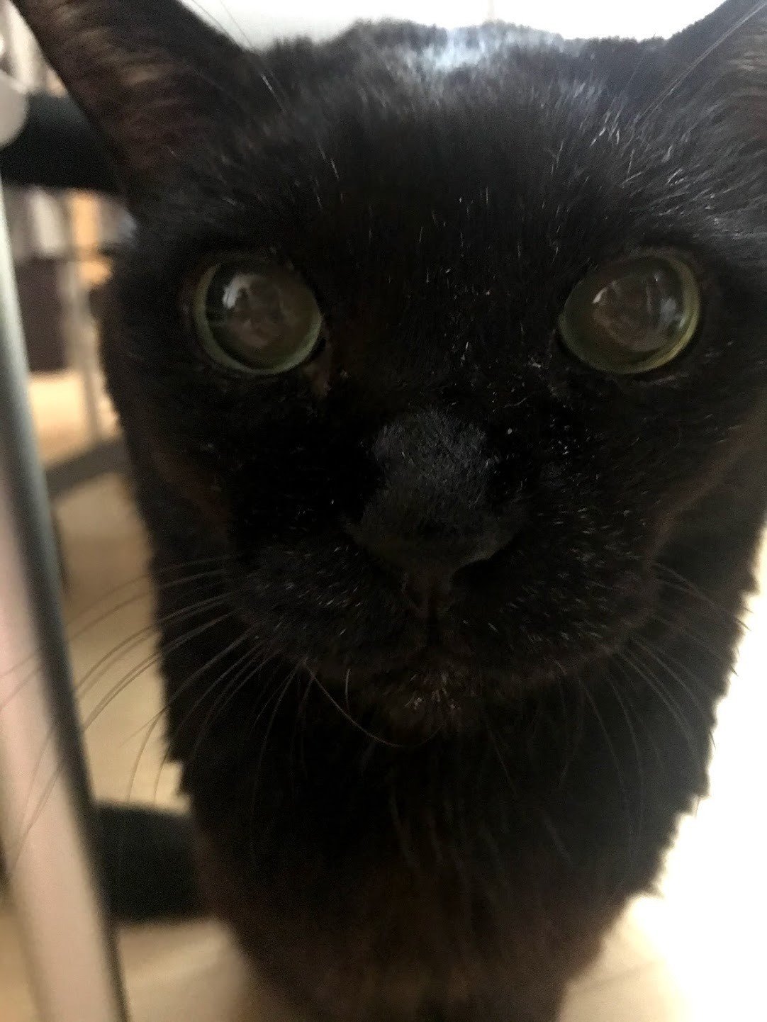 集中が途切れがちなときは 肉体を味方につけるために机に突っ伏す F太 Note 集中が途切れがちなときは 肉体を味方につけるために机に突っ伏す F太 Note