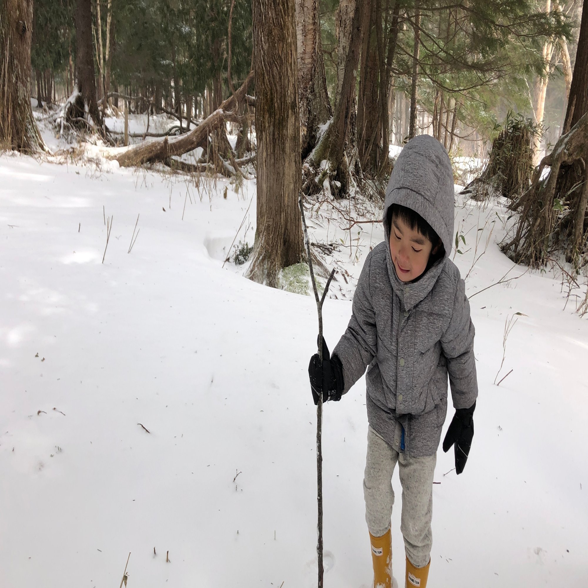 奥日光子連れ旅行 2日目 ソリ遊び 3 4歳 Lhotse Note