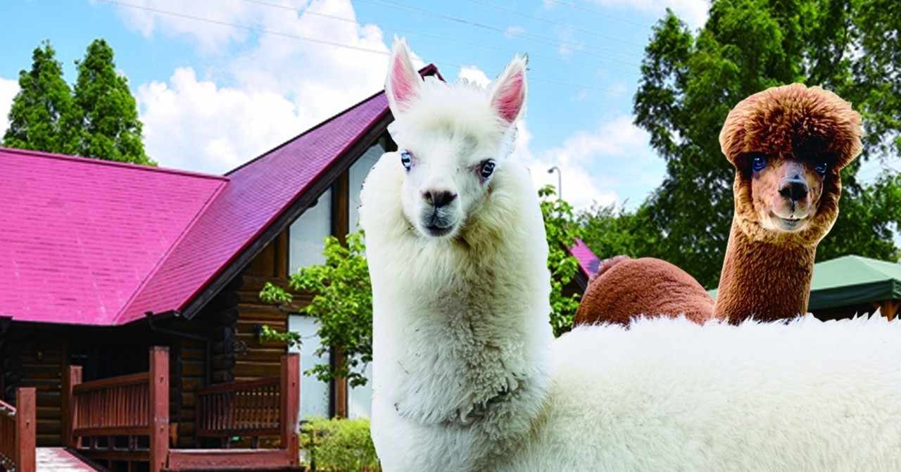 動物癒し の新着タグ記事一覧 Note つくる つながる とどける