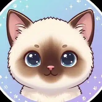 mimicats（ミミキャッツ）クリエイター