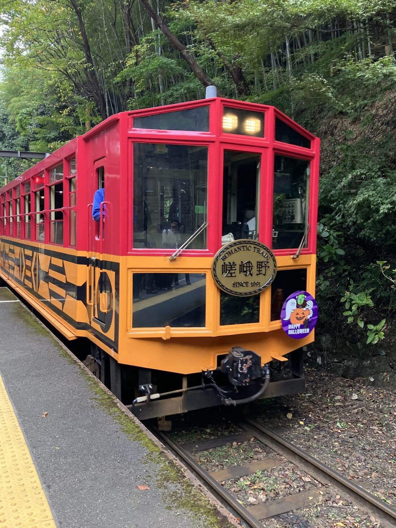 50代1人旅】京都嵐山（後編）トロッコ列車と川下り＋京都市内
