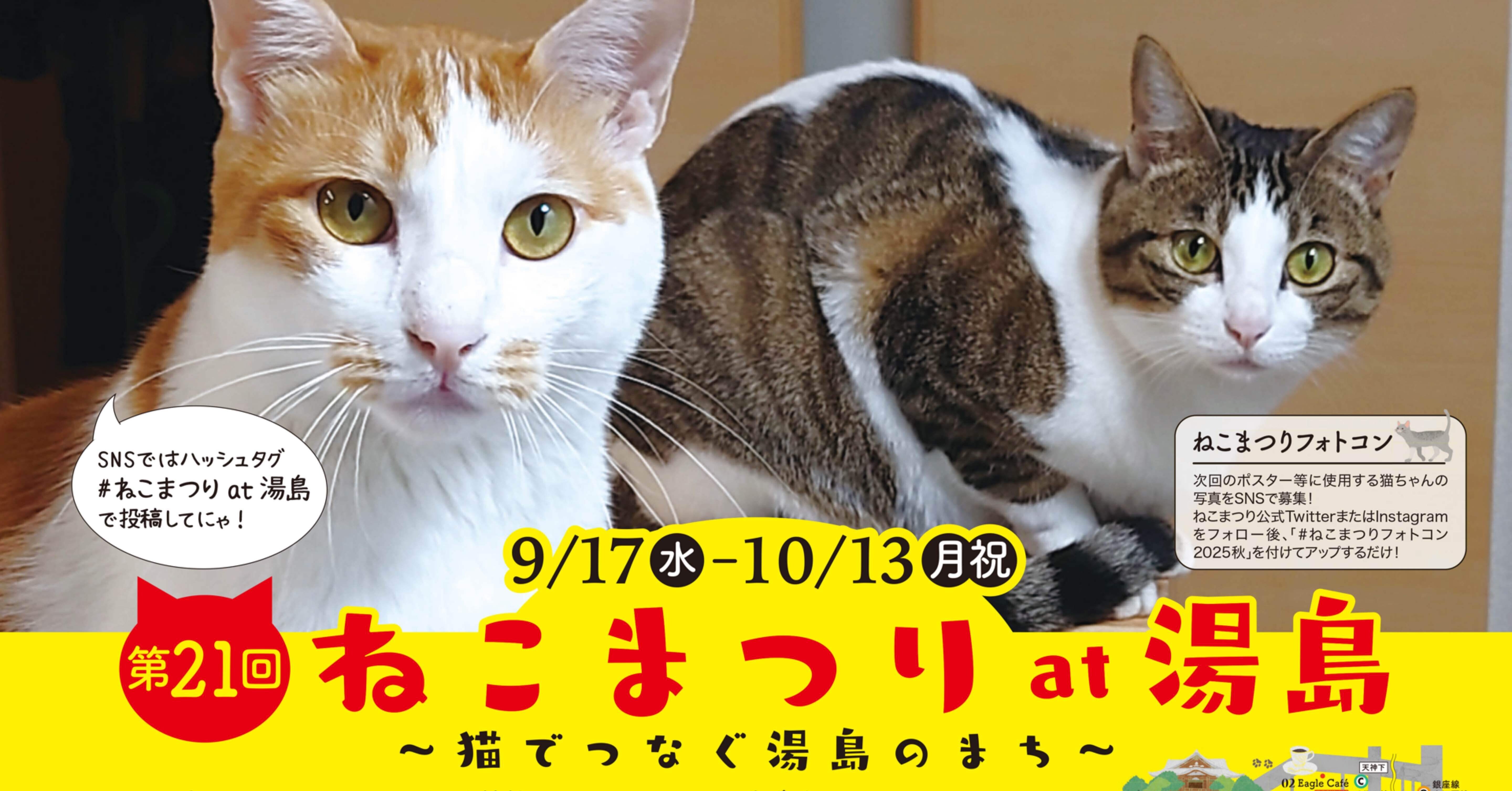 10月13日(月祝)まで『第21回 ねこまつり at 湯島』開催中！｜上野案内所