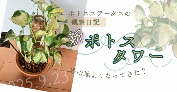 モカポトスページ Day♯267 9.28｜Louis