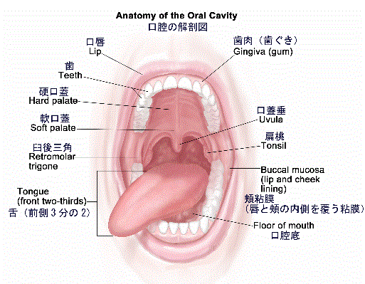 コメント 2020-03-28 203107