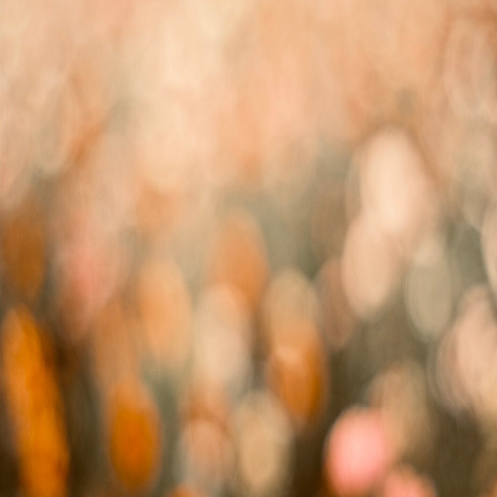 FUJIFILM X-S10｜鉄板オールドレンズ Super Takumar 55mm F1.8｜1GOU