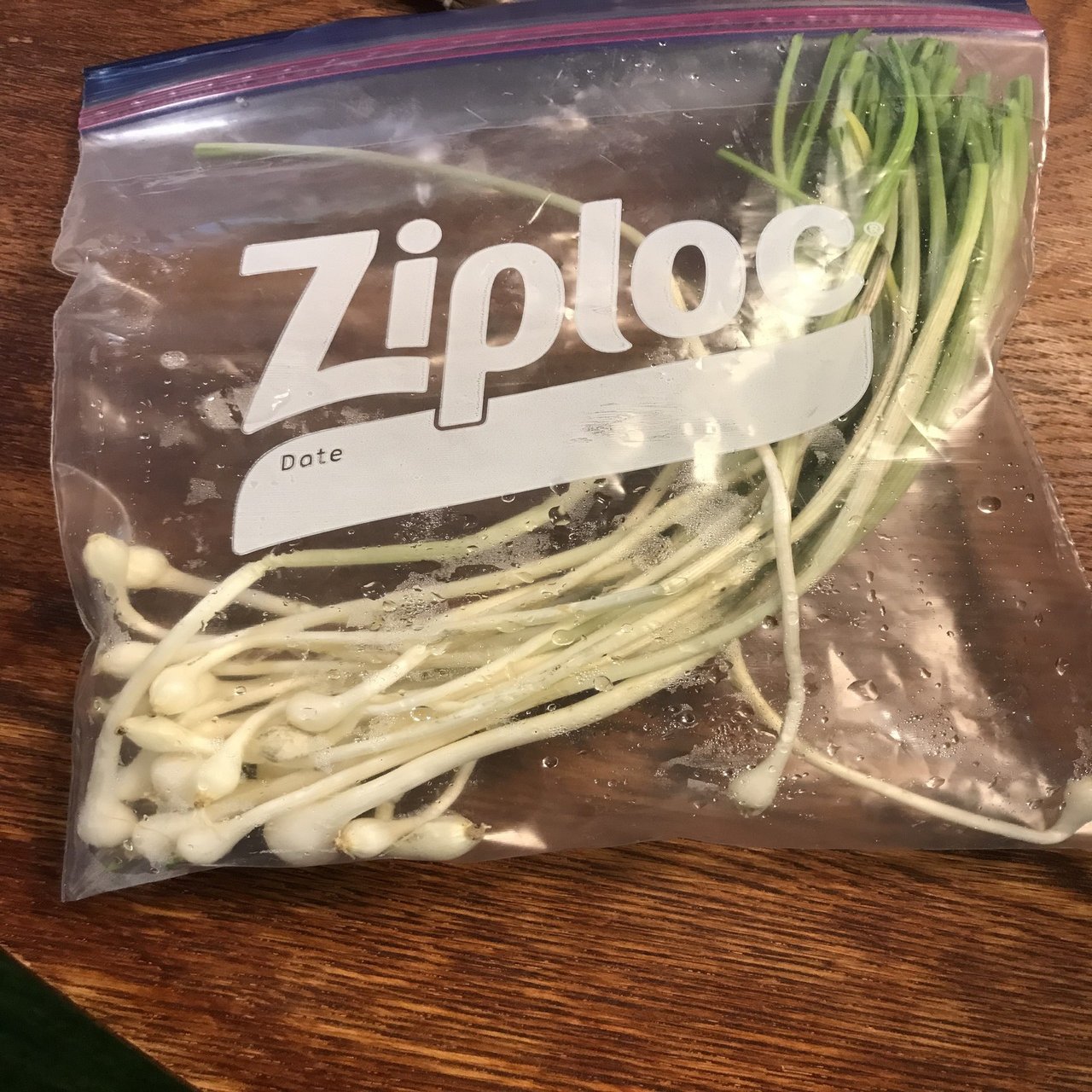 野蒜(ノビル)を掘ろう！活用レシピなど｜ほくと