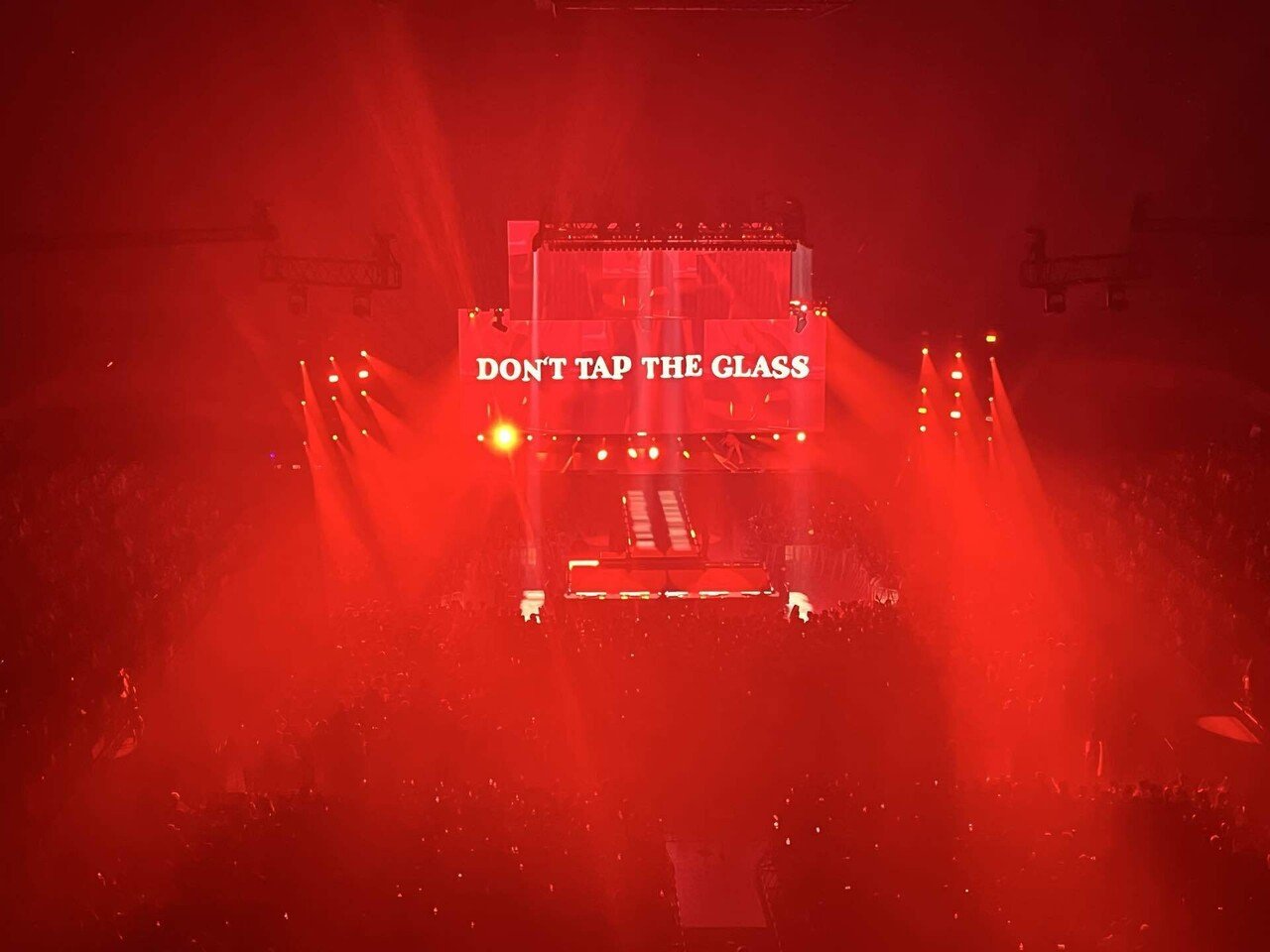 ライブレポ | 会場のシンガロングに感動！Tyler, The Creator