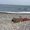 シニゾコナイタ
