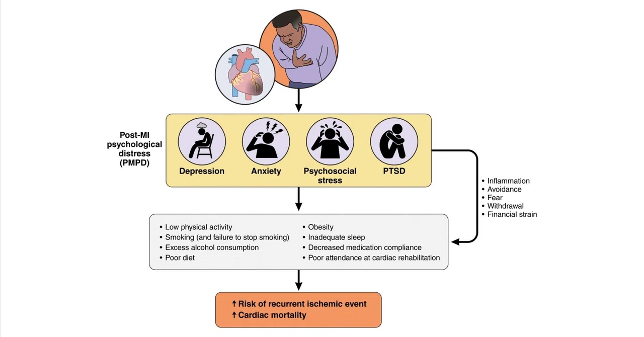 Post-Myocardial Infarction Psychological Distress (PMPD)｜Makisey