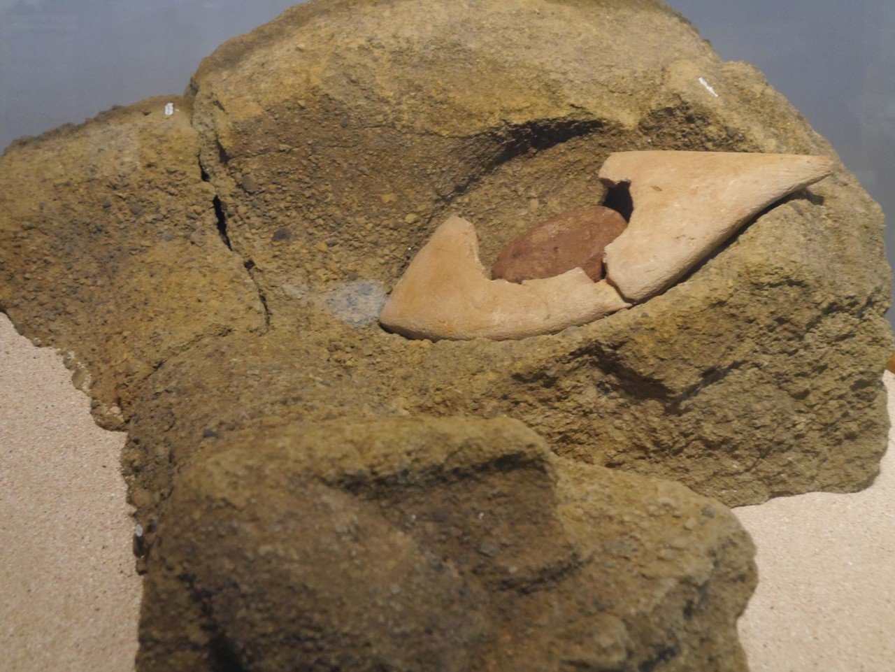 うつぶせのモアイは悲しい けそ Note うつぶせのモアイは悲しい けそ Note