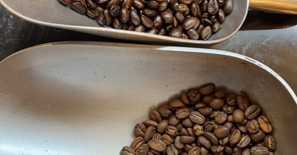 珈琲の読書録『咖啡の旅』標 交紀｜めーめー