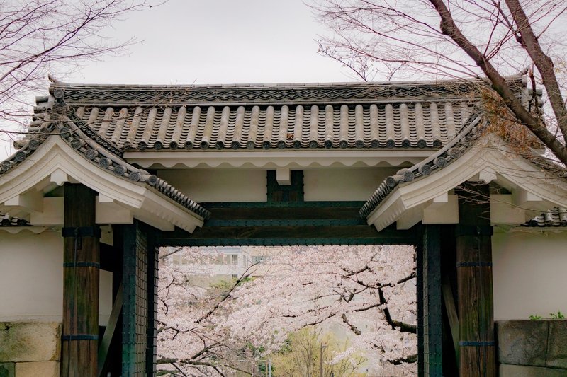 20190329 都内桜撮影-22