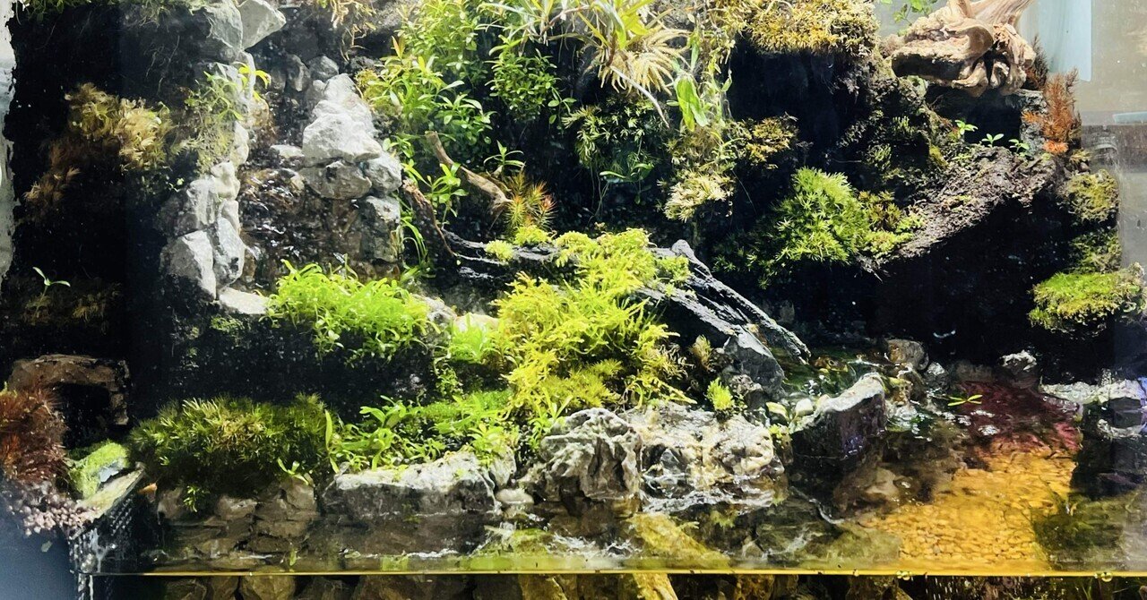 アクアリウムを作ろう〜滝のあるアクアテラリウムでイモリが飼いたい
