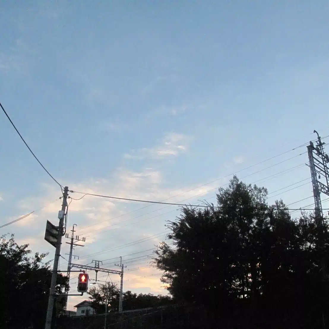 ふじ