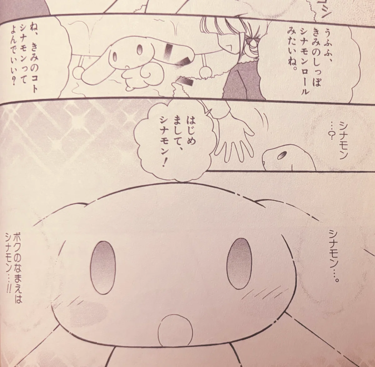 もう迷わない！シナモンの本名問題に終止符を打つnote 混乱の原因と