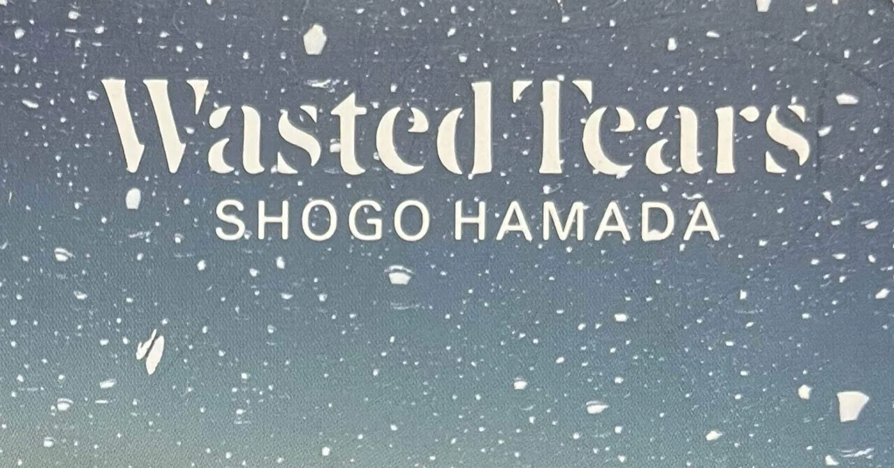 音楽】ちょっぴりセンチメンタルなアルバム 浜田省吾のWasted Tears