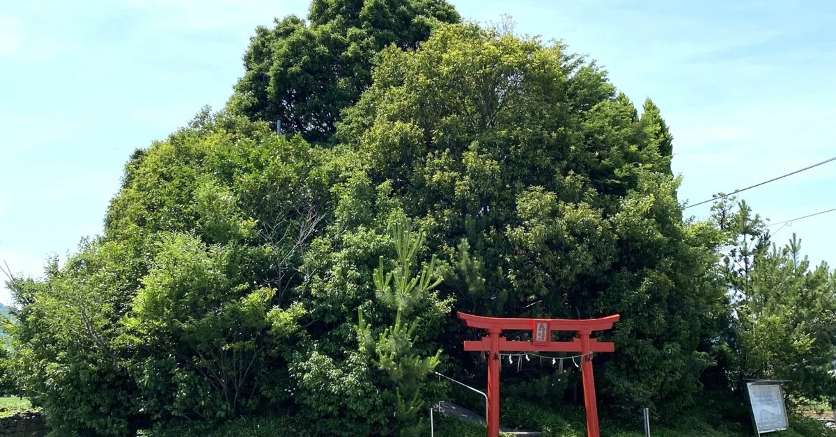 日本一低い山！徳島の弁天山で30秒登山＆絶景神社を楽しもう（徳島市）｜天パ！のたありえ日記（徳島の観光＆グルメ深掘り調査隊）