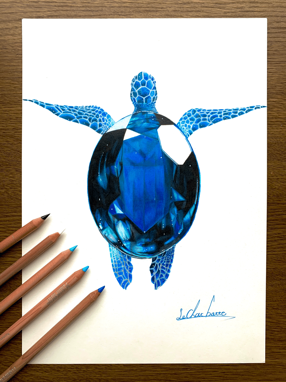 ウミガメ×サファイア｜安部祐一朗 Yuichiro Abe