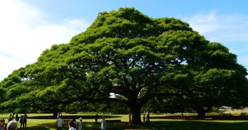 二人の関係が ずっと好きだった maekon まえこん note