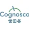 Cognosco世田谷