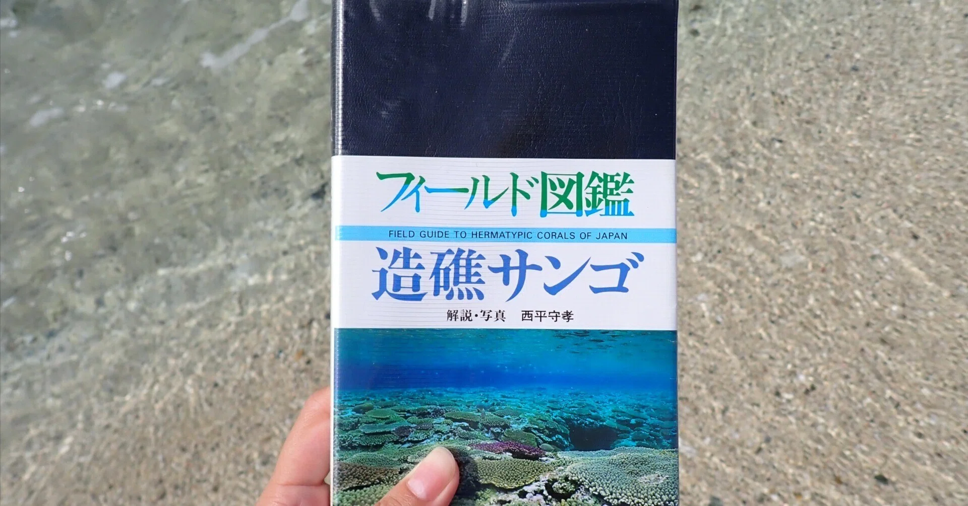 海をめくる〉 旅先での海水浴が100倍楽しくなる！ 