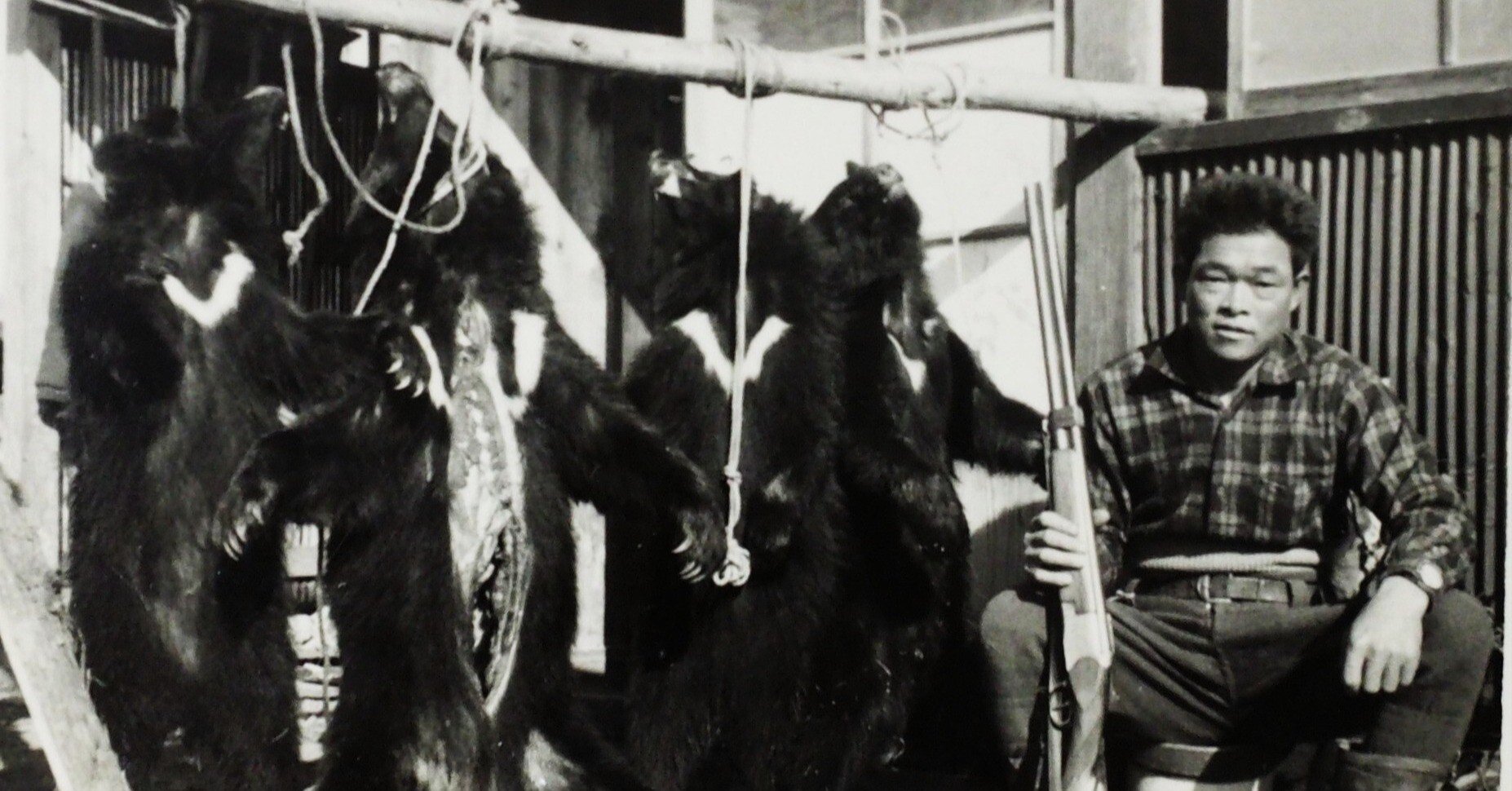 a90b61d55b5d739f16cbbd70f7f8ba