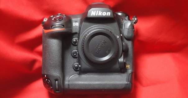 Nikon - ♥Nikon D50 ◇カメラ選びに迷ったらこのカメラ♪ ◇おすすめ一眼レフ♪ 1万円で購入できるデジタル一眼レフ ニコンD50 【東大阪の猫撮影