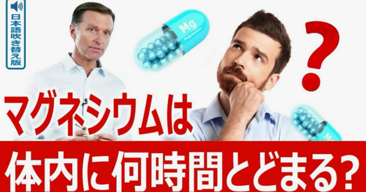 最新｜マグネシウムは体内に何時間とどまる？｜ドクター・バーグ