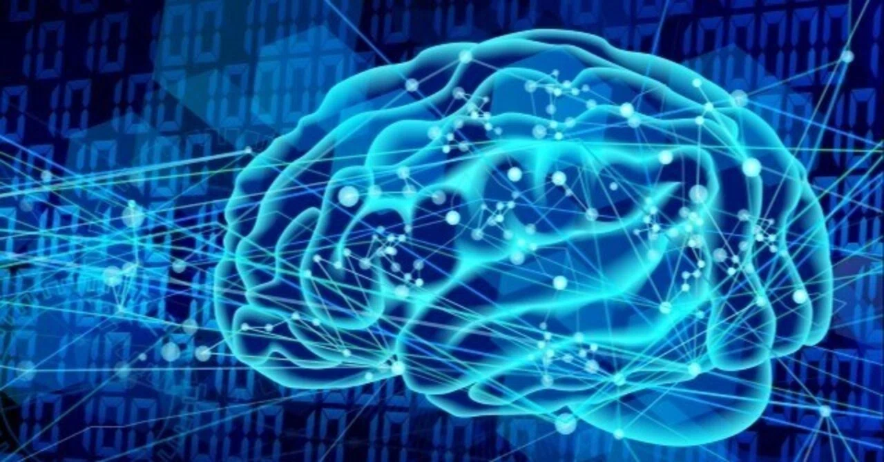 To the Geniuses of the Future: What Brain Plasticity Teaches Us｜しゅんたろう