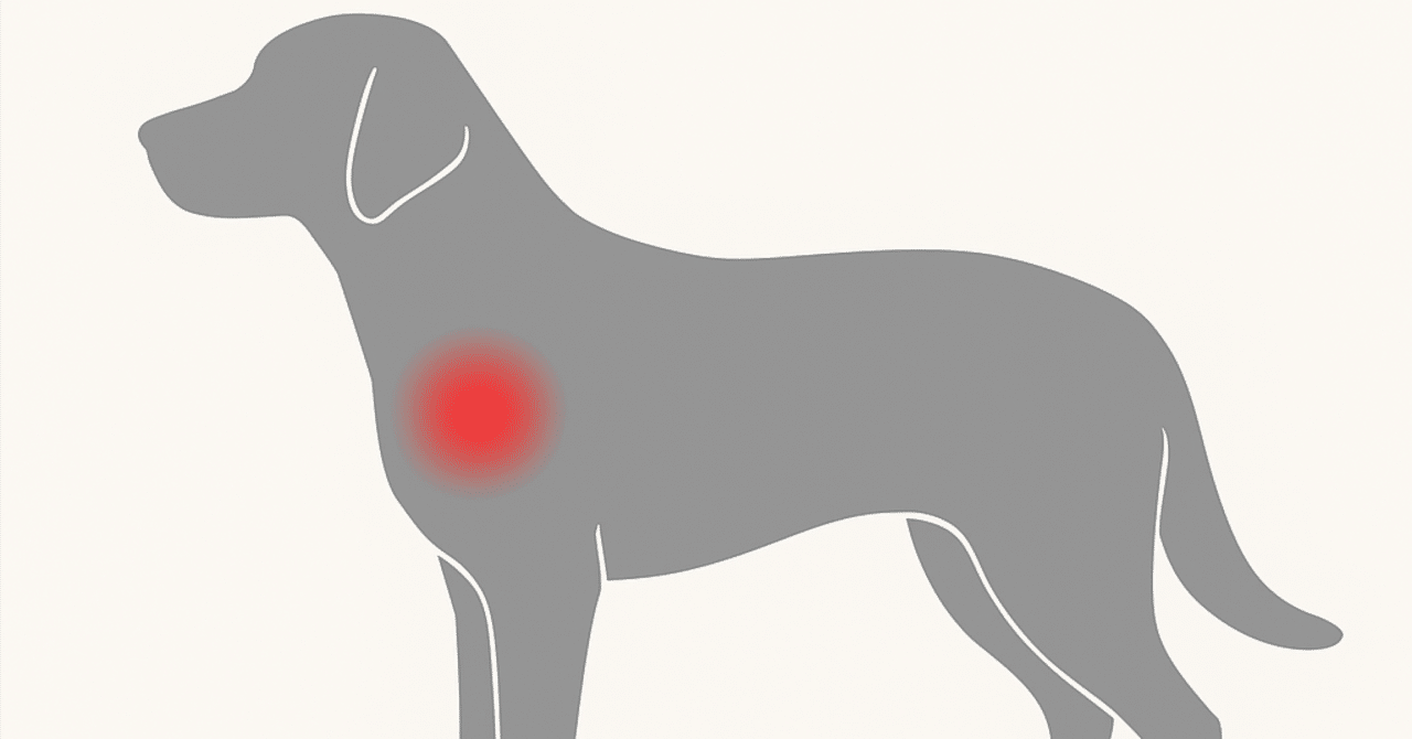 犬の前肢跛行シリーズ 第2回：肩関節不安定症｜獣医師 あべれおな