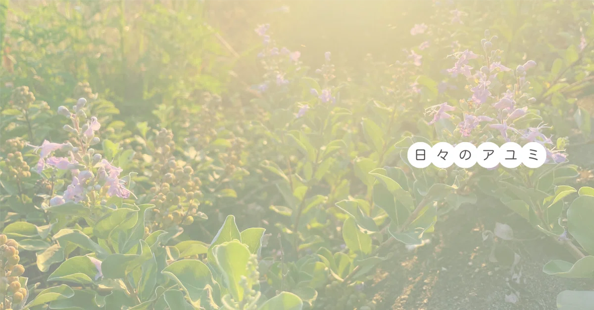 Living Lightly and Seriously｜アユミ