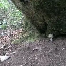 湫川 仰角