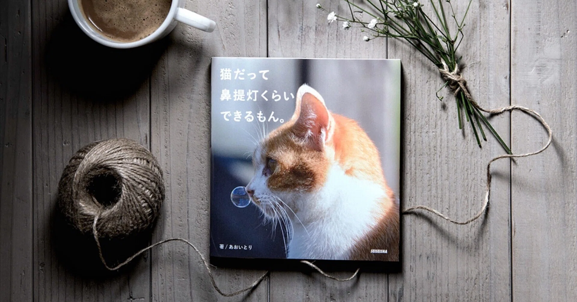 最初に出した写真集について｜猫写真家 あおいとり
