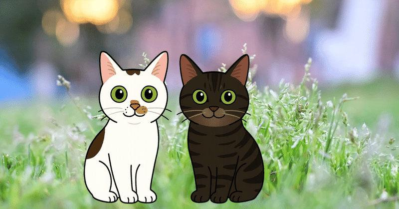 今日も猫様が最高 - 2025-12｜みそかりん｜note