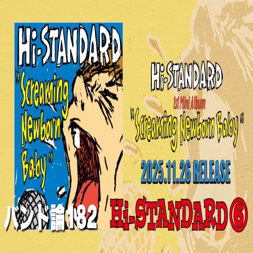 Hi-STANDARD SNB TOUR Tシャツ Lサイズ Screaming Newborn Baby Tour