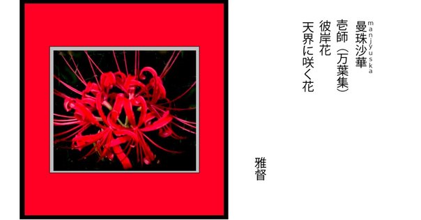 絵画　赤蕎麦の花 202110262-scaled.jpg