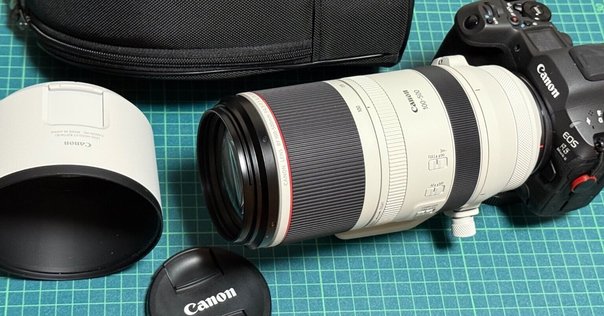 純正⭐Canon EF 100-300mm 超望遠レンズ⭐運動会 スポーツ 野鳥 Amazon.co.jp: Canon EF 100-300mm f/4.5-5.6 USM 望遠ズーム