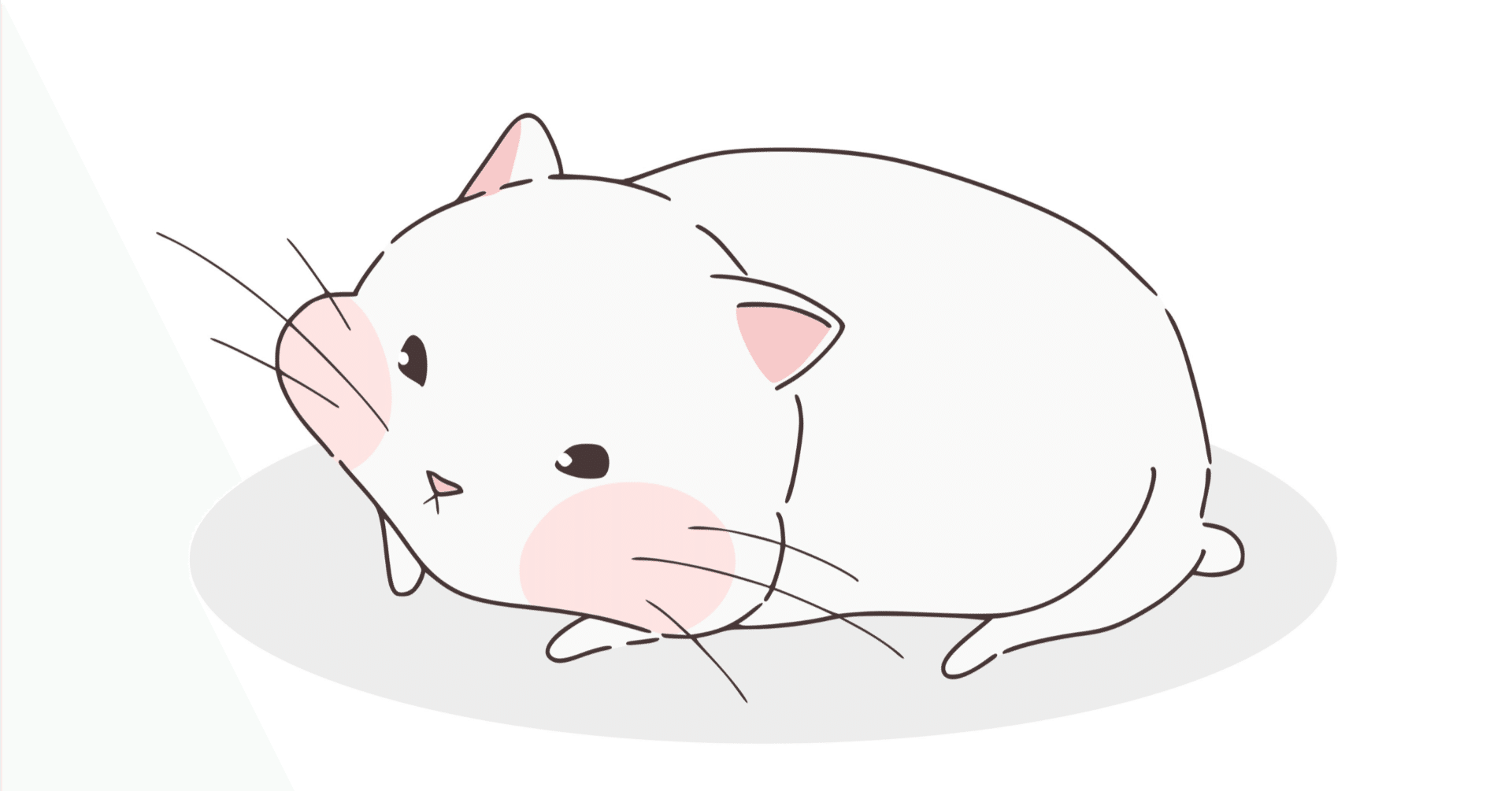 明治大学付属明治中学校 社会 過去問分析レポート（2026年度向け）｜たなべ