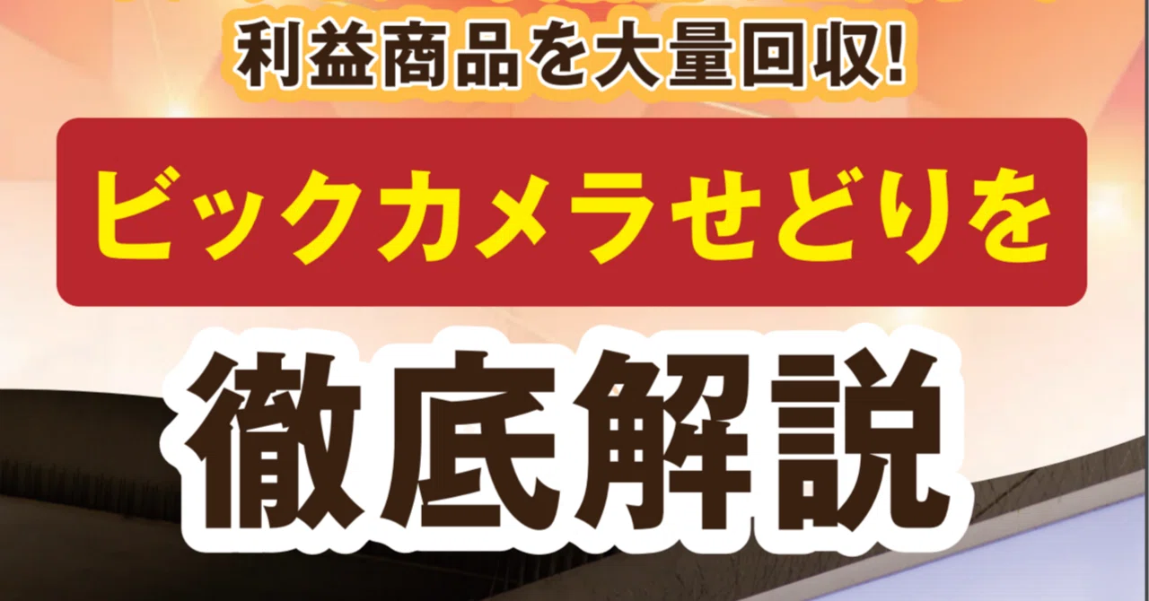 ビックカメラせどりを徹底解説】オンライン×実店舗の仕入れで利益商品