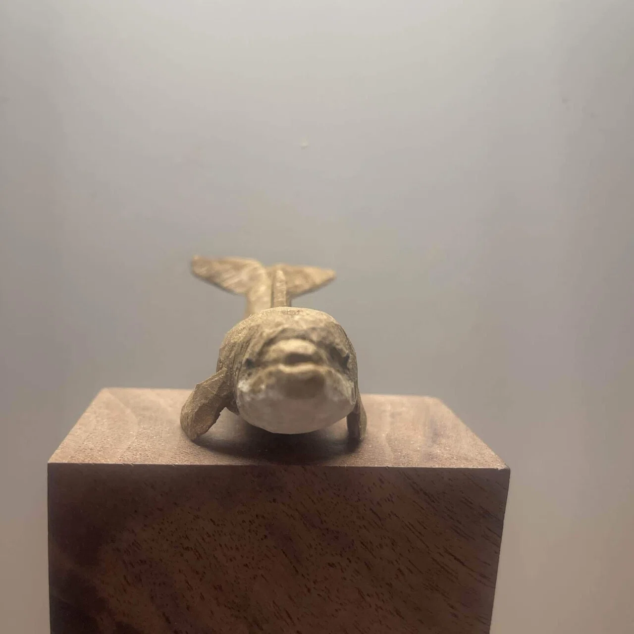 Beloved Sea Creatures: Carving the Most Adored Dolphin｜森の和