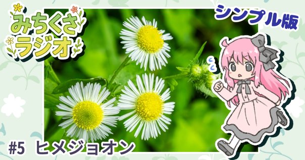 貧乏草って2種類あんねん｜くますけ｜自然ガイド・クリエイター