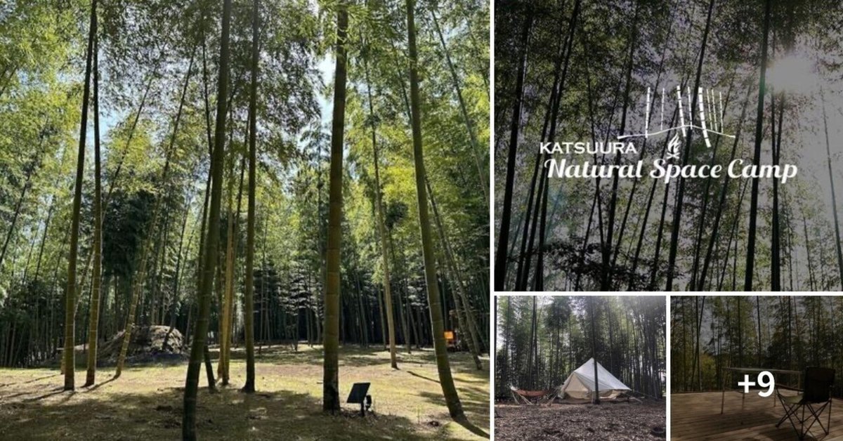 【送料無料】「出航」1点物　肉筆　キャンバス Amazon.co.jp: 1000-851 霞紅羽 (かすみくれは) SHU 1000ピース