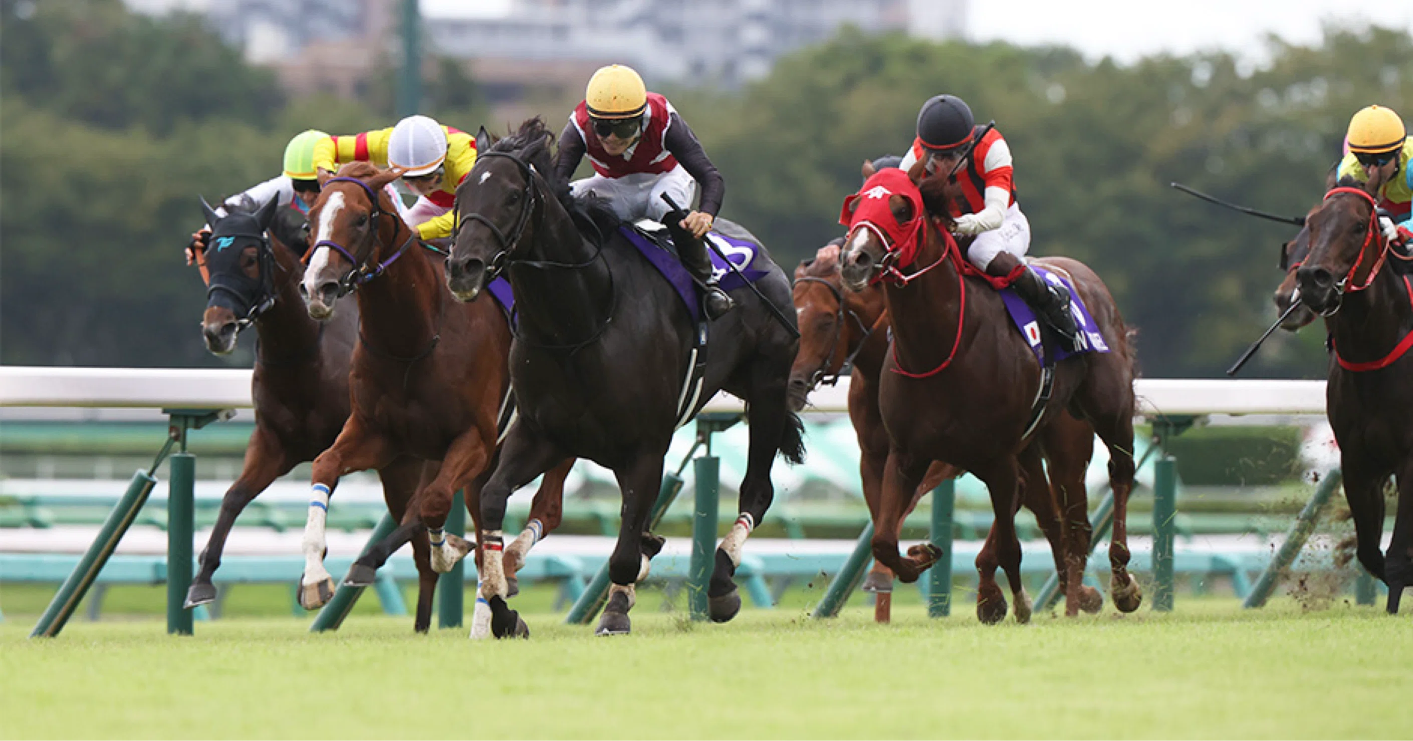 現地的中】単勝馬券1994年スプリンターズSサクラバクシンオー引退