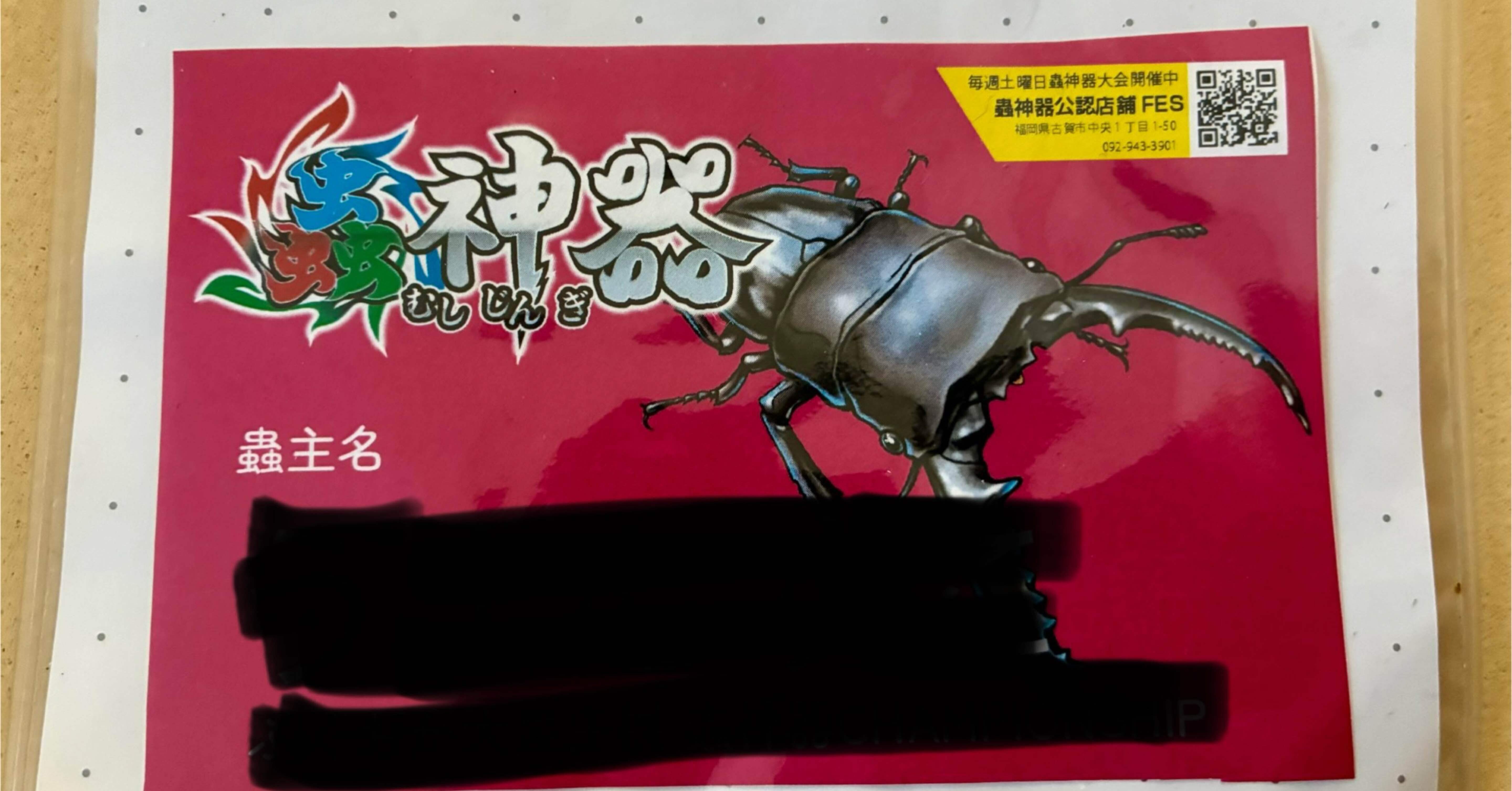 蟲神器】初心者が大会でボロ負け…絶好調の裏で見えてきた課題