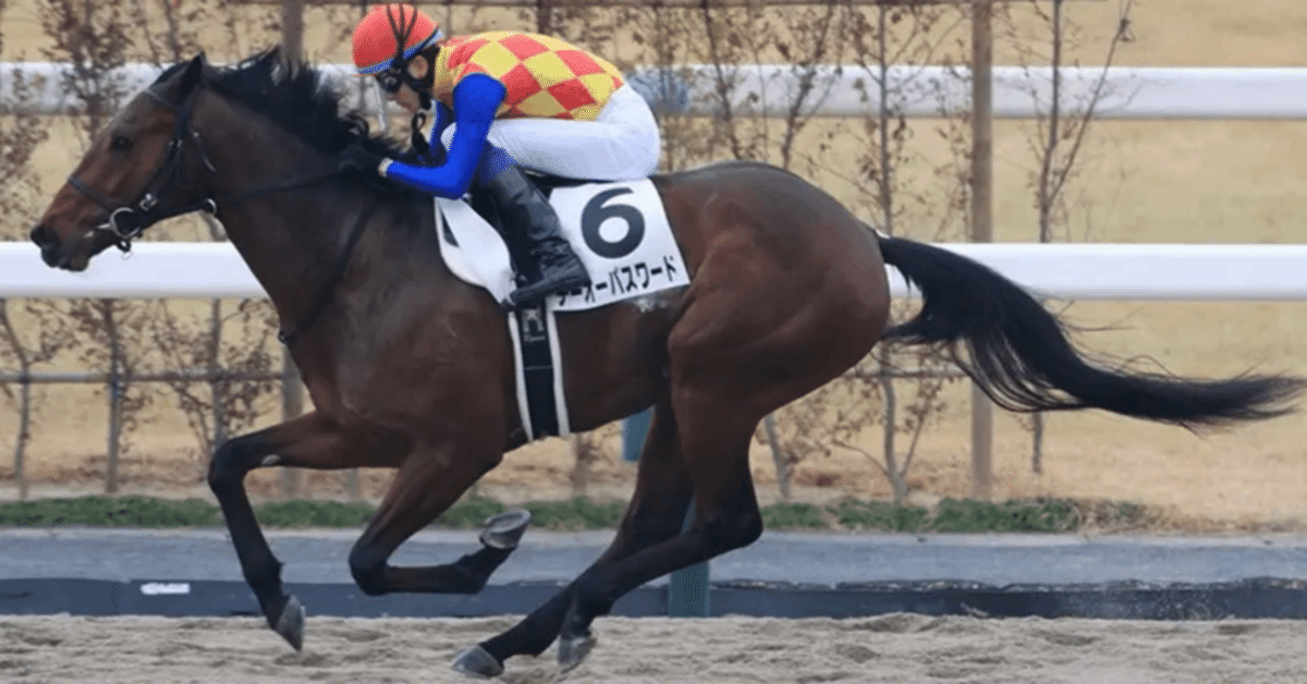 競馬予想　極4 9/26【浦和競馬トリプル馬単】限定オプチャから9/4 大井トリプル