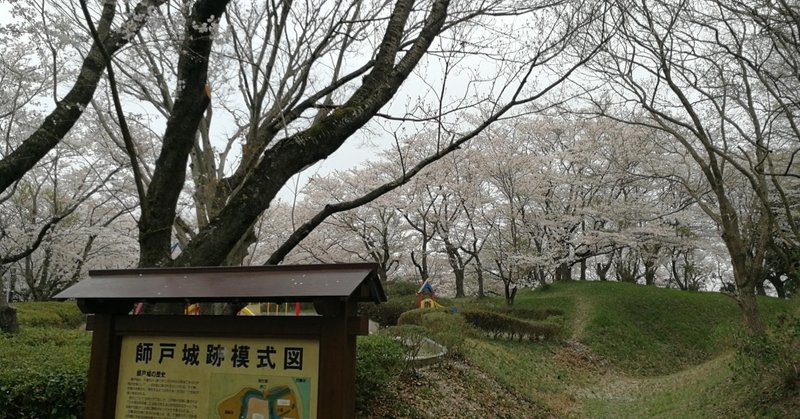 桜🌸2020年　⑶印旛沼公園