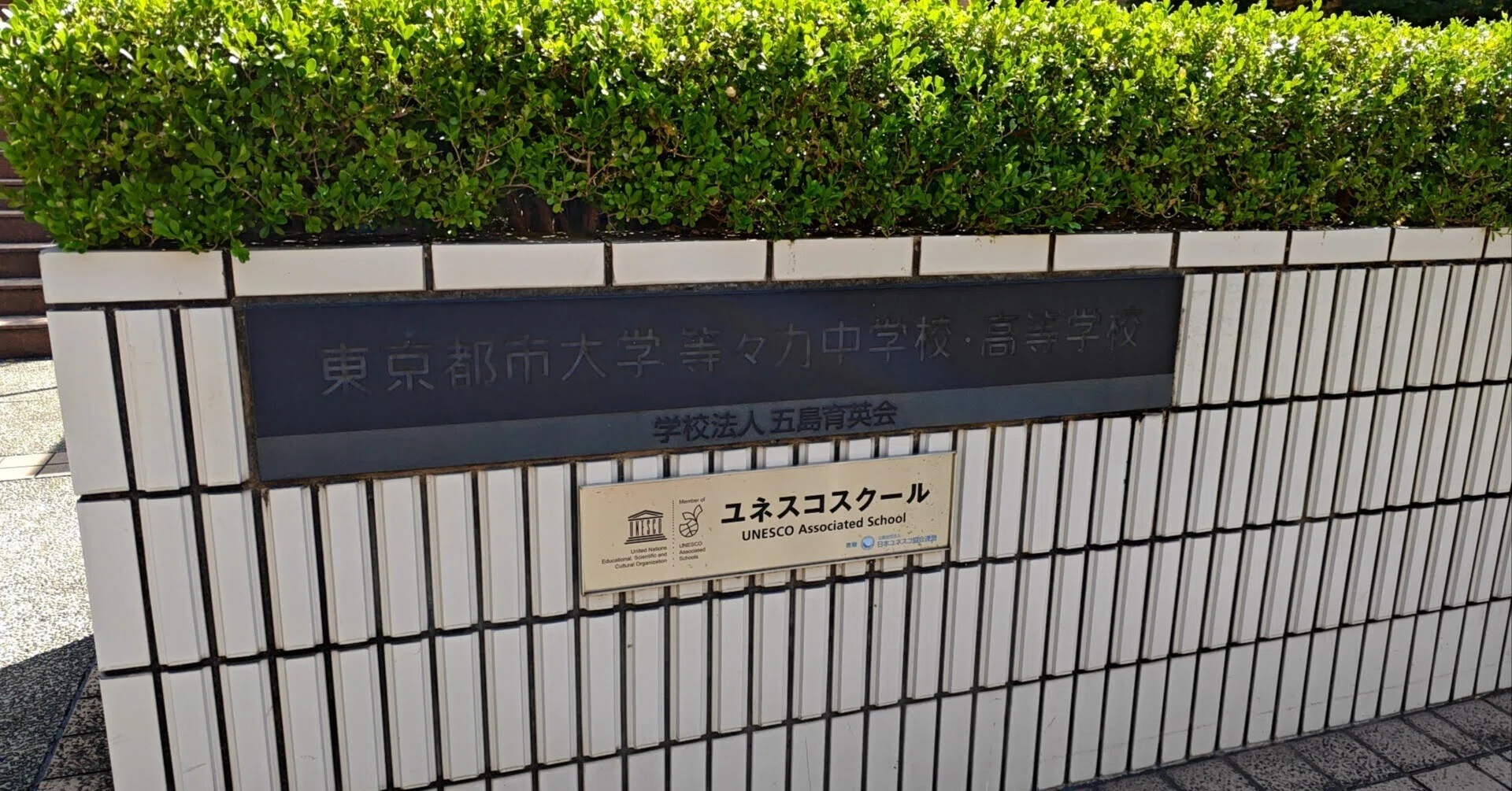 東京都市大学等々力中学校（塾先生対象入試説明会）｜根本＠オンライン