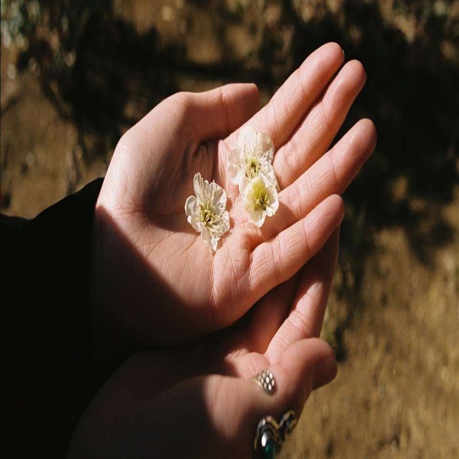 35mmフィルム Canon EOS3000 作例｜Jun Ishibashi -旅と山と写真と