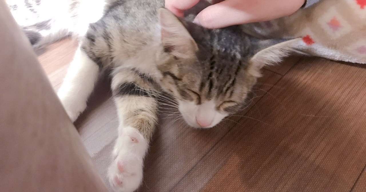 お腹の中で一生を終えた赤ちゃんを出産するまでのこと ー宣告 きじむなー Note