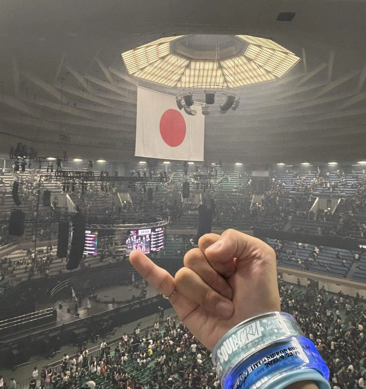 トゲナシトゲアリ 日本武道館公演 奏檄の叫 感想レポート｜くろ